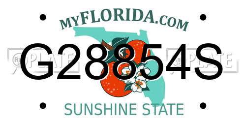 G28854S Florida License Plate