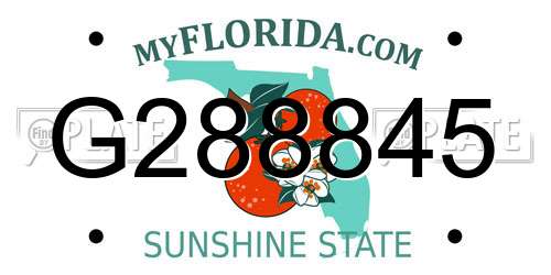 G288845 Florida License Plate