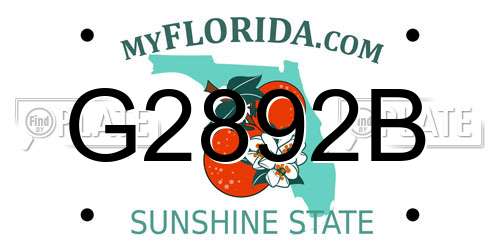 G2892B Florida License Plate