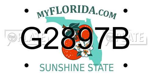 G2897B Florida License Plate