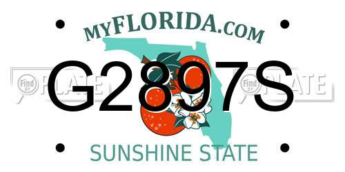 G2897S Florida License Plate