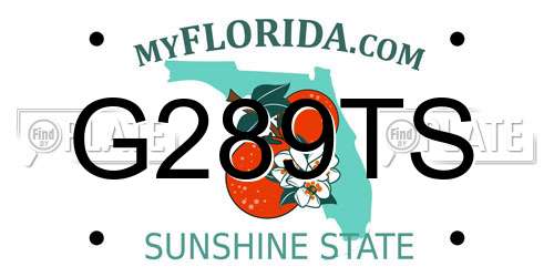 G289TS Florida License Plate