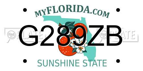 G289ZB Florida License Plate