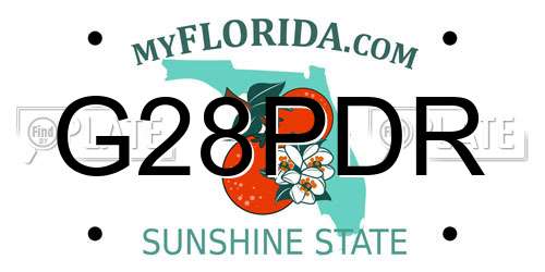 G28PDR Florida License Plate