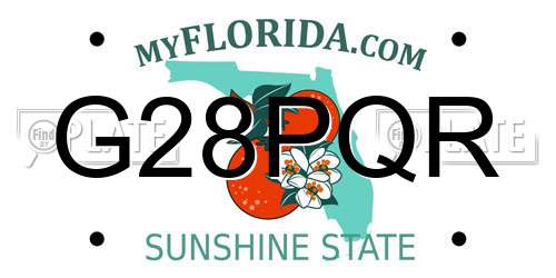 G28PQR Florida License Plate