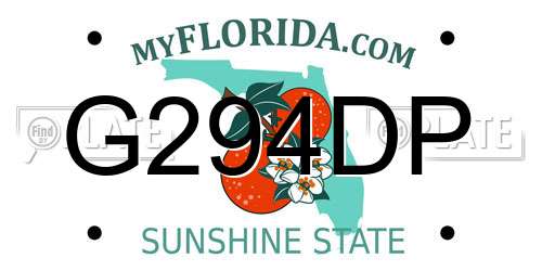 G294DP Florida License Plate