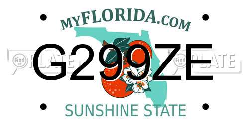 G299ZE Florida License Plate