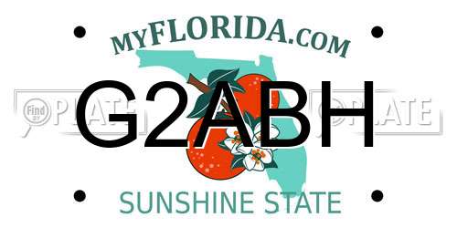 G2ABH Florida License Plate