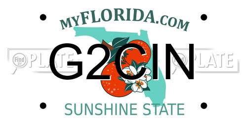 G2CIN Florida License Plate