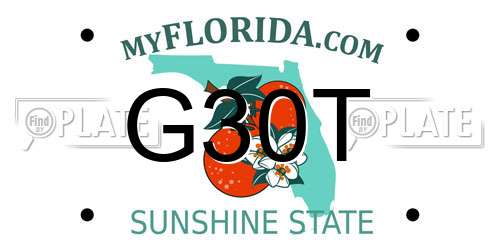 G30T Florida License Plate