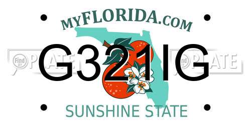 G321IG Florida License Plate