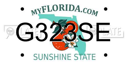 G323SE Florida License Plate