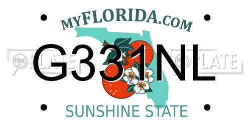G331NL Florida License Plate