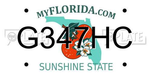 G347HC Florida License Plate