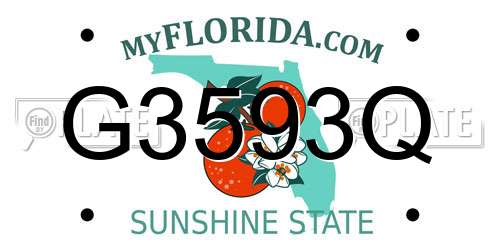 G3593Q Florida License Plate
