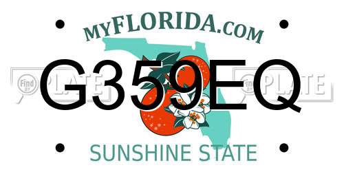 G359EQ Florida License Plate