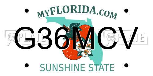 G36MCV Florida License Plate