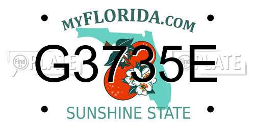 G3735E Florida License Plate