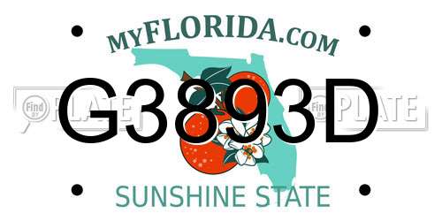 G3893D Florida License Plate