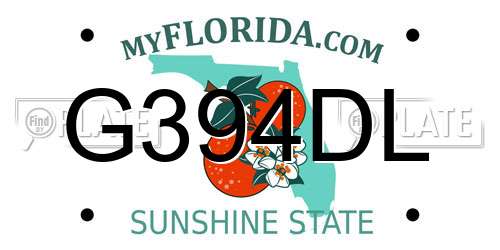 G394DL Florida License Plate