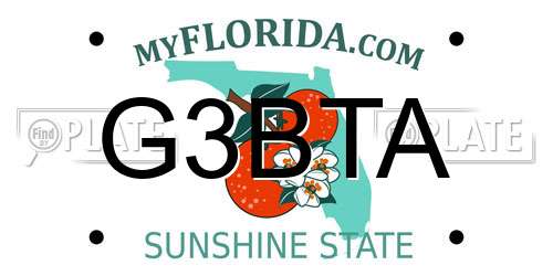 G3BTA Florida License Plate