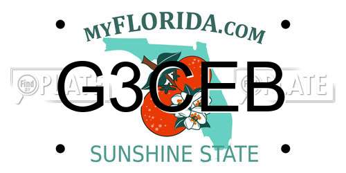G3CEB Florida License Plate