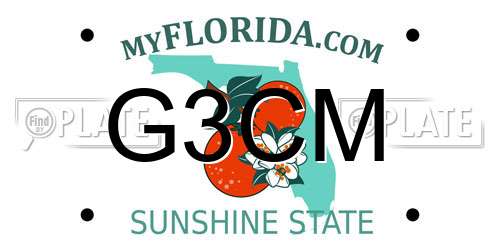 G3CM Florida License Plate