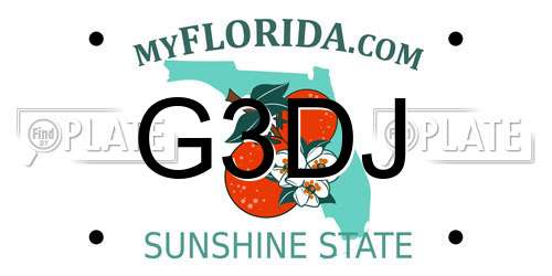 G3DJ Florida License Plate