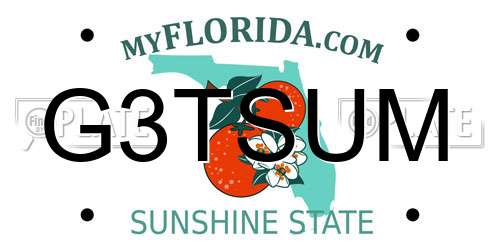 G3TSUM Florida License Plate