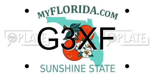 G3XF Florida License Plate