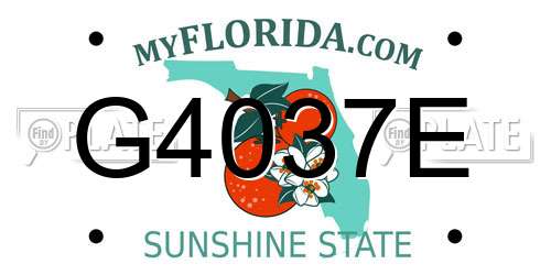 G4037E Florida License Plate