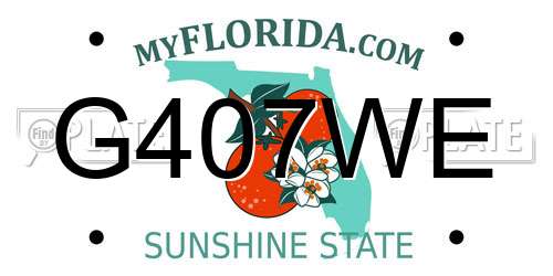 G407WE Florida License Plate