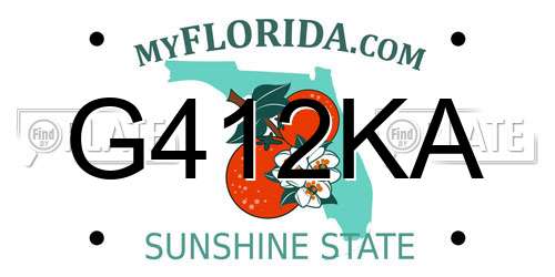 G412KA Florida License Plate