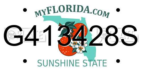 G413428S Florida License Plate