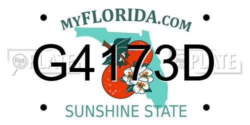 G4173D Florida License Plate
