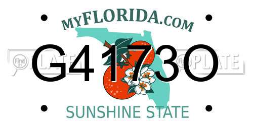 G4173O Florida License Plate