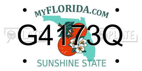 G4173Q Florida License Plate