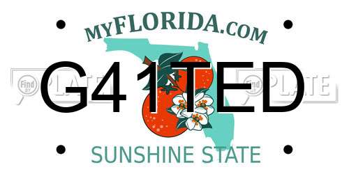 G41TED Florida License Plate