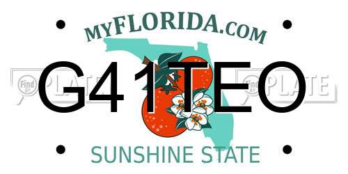 G41TEO Florida License Plate