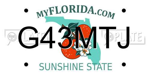 G43MTJ Florida License Plate