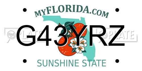 G43YRZ Florida License Plate