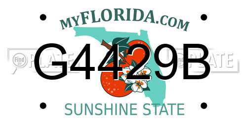G4429B Florida License Plate