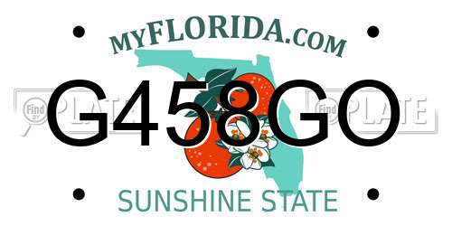 G458GO Florida License Plate