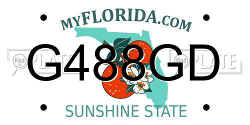 G488GD Florida License Plate