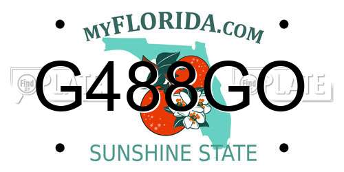 G488GO Florida License Plate