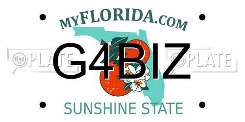 G4BIZ Florida License Plate