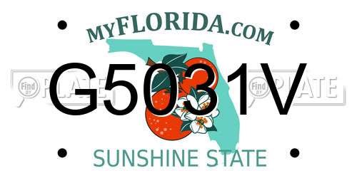 G5031V Florida License Plate