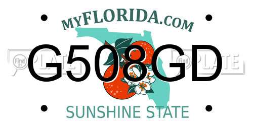 G508GD Florida License Plate