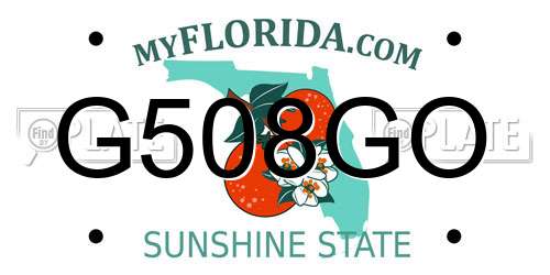 G508GO Florida License Plate