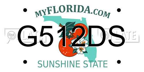 G512DS Florida License Plate